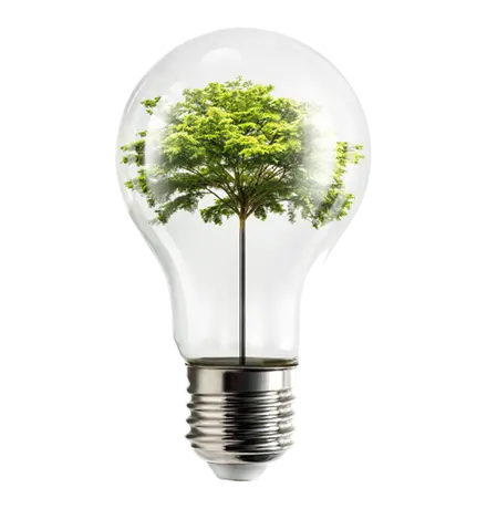 Eco Friendly Performance, Kyocera, Environment, Carraway Office Solutions