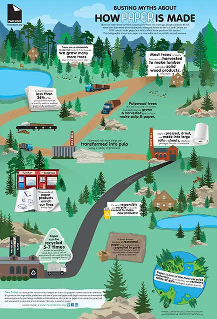 How Paper Is Made IG, Canon, two sides, Carraway Office Solutions