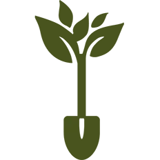 Deforestation, PrintReleaf, Carraway Office Solutions
