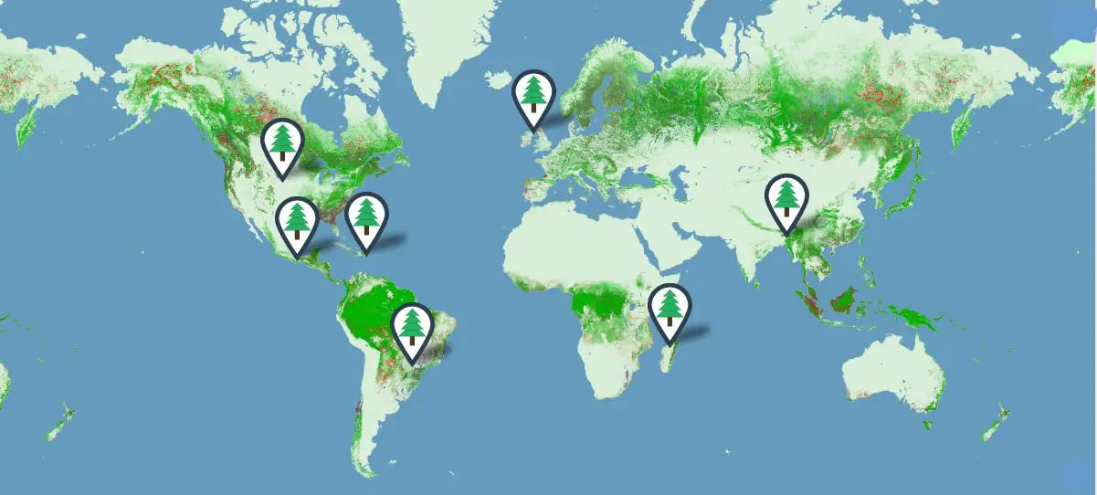 Forestry Map, PrintReleaf, Carraway Office Solutions