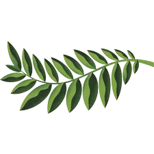 Native Woodlands, PrintReleaf, Carraway Office Solutions