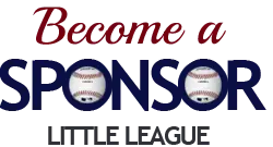 Become a youth baseball sponsor, Carraway Office Solutions